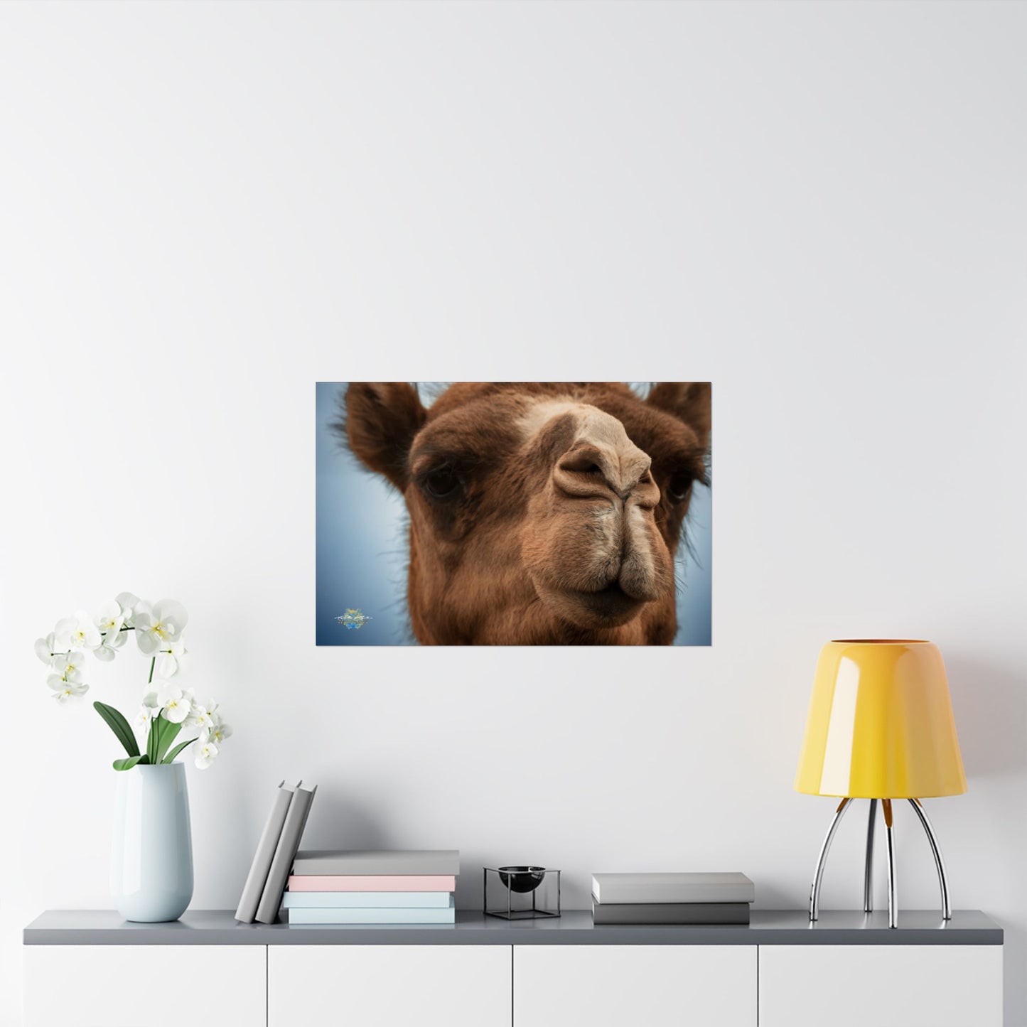 "Camel Close-Up" Photo Poster