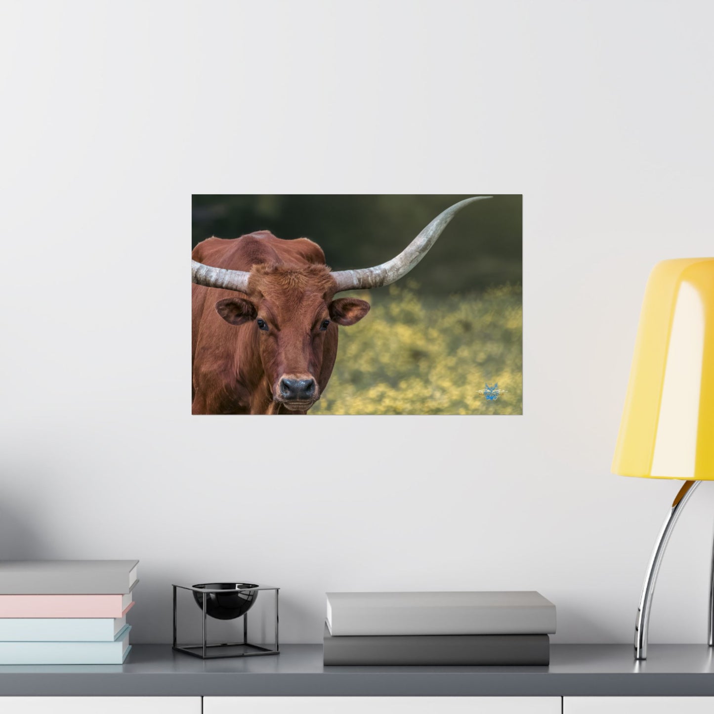 “Oklahoma Stare” Photo Poster