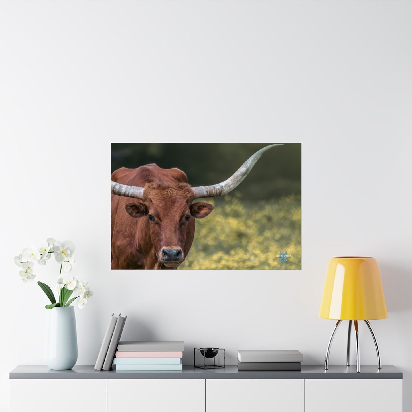 “Oklahoma Stare” Photo Poster
