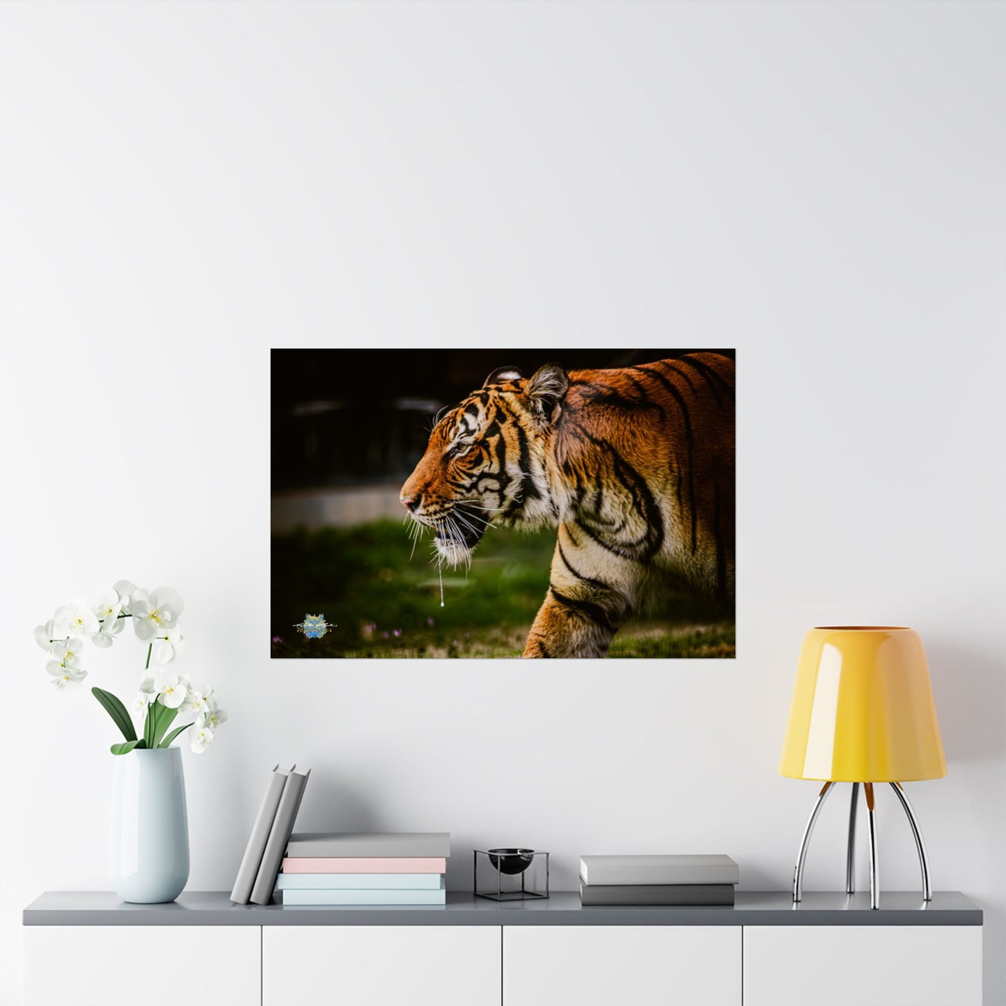 "Focused Grace" Bengal Tiger Photo Poster