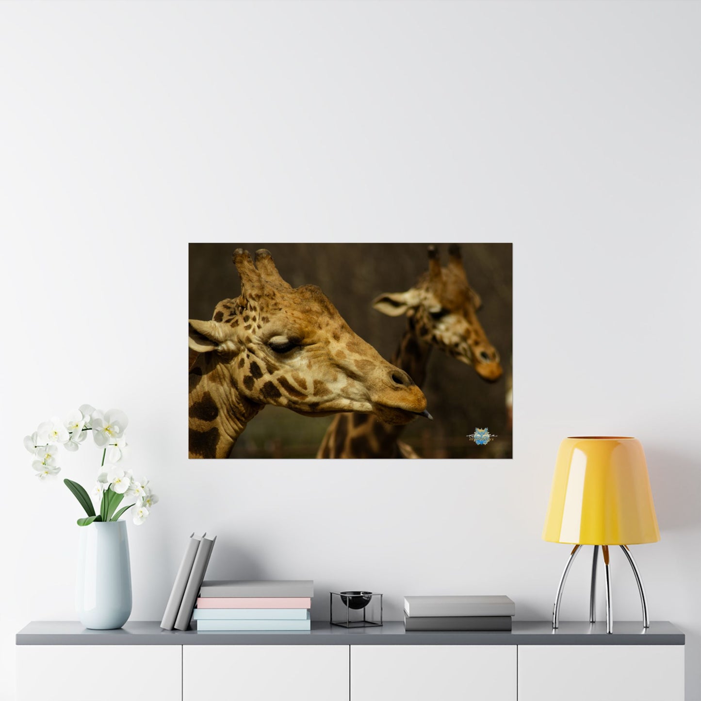 "Stickin’ Out – Giraffe Attitude" Photo Print - Framed