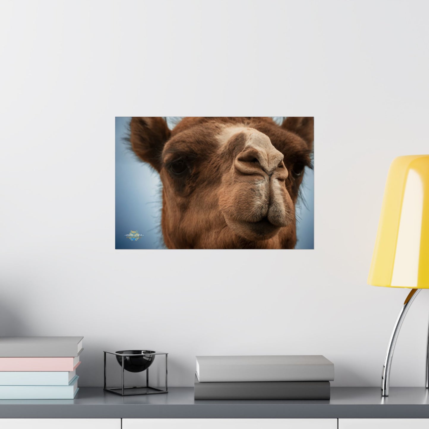 "Camel Close-Up" Photo Poster