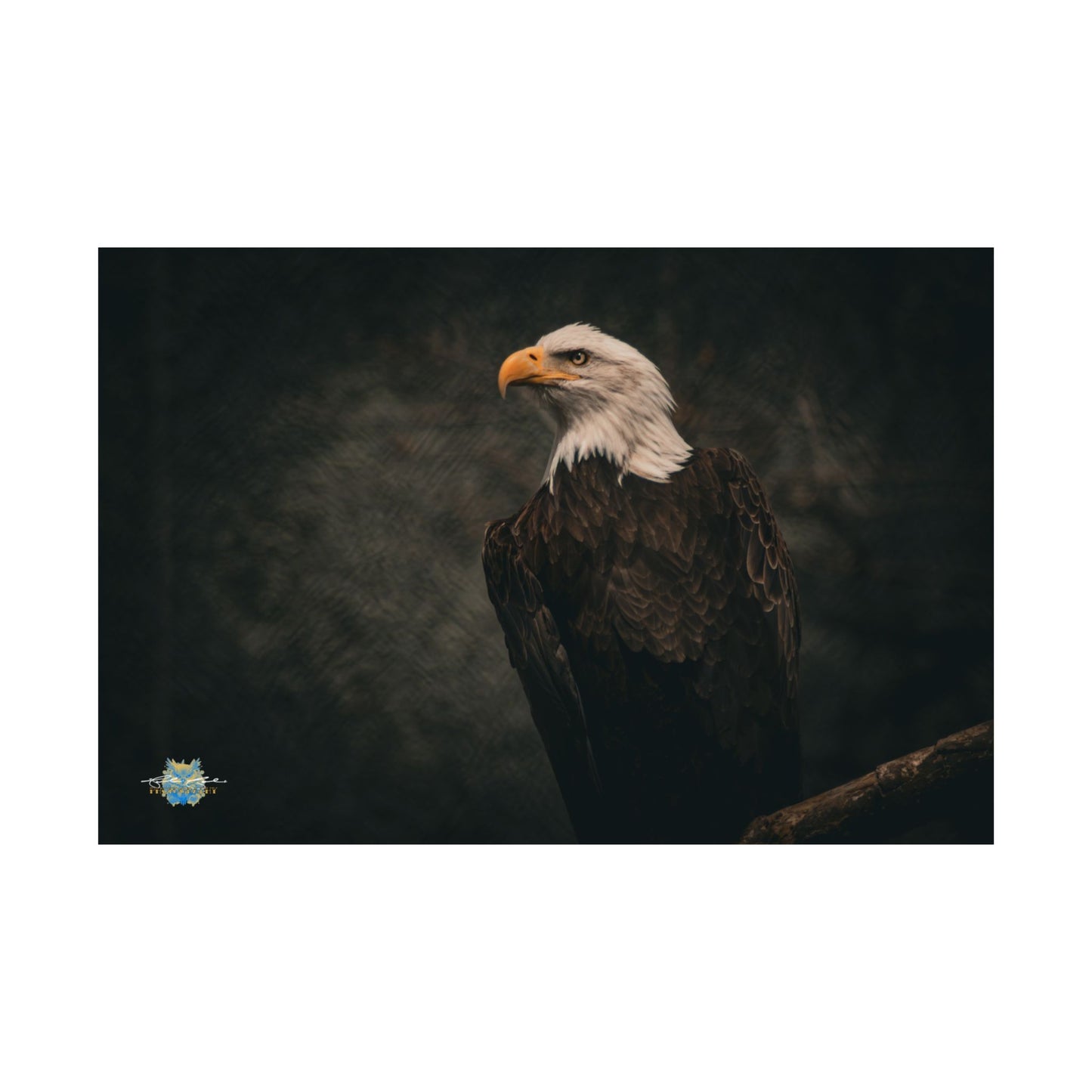 “Silent Sovereign” Photo Poster
