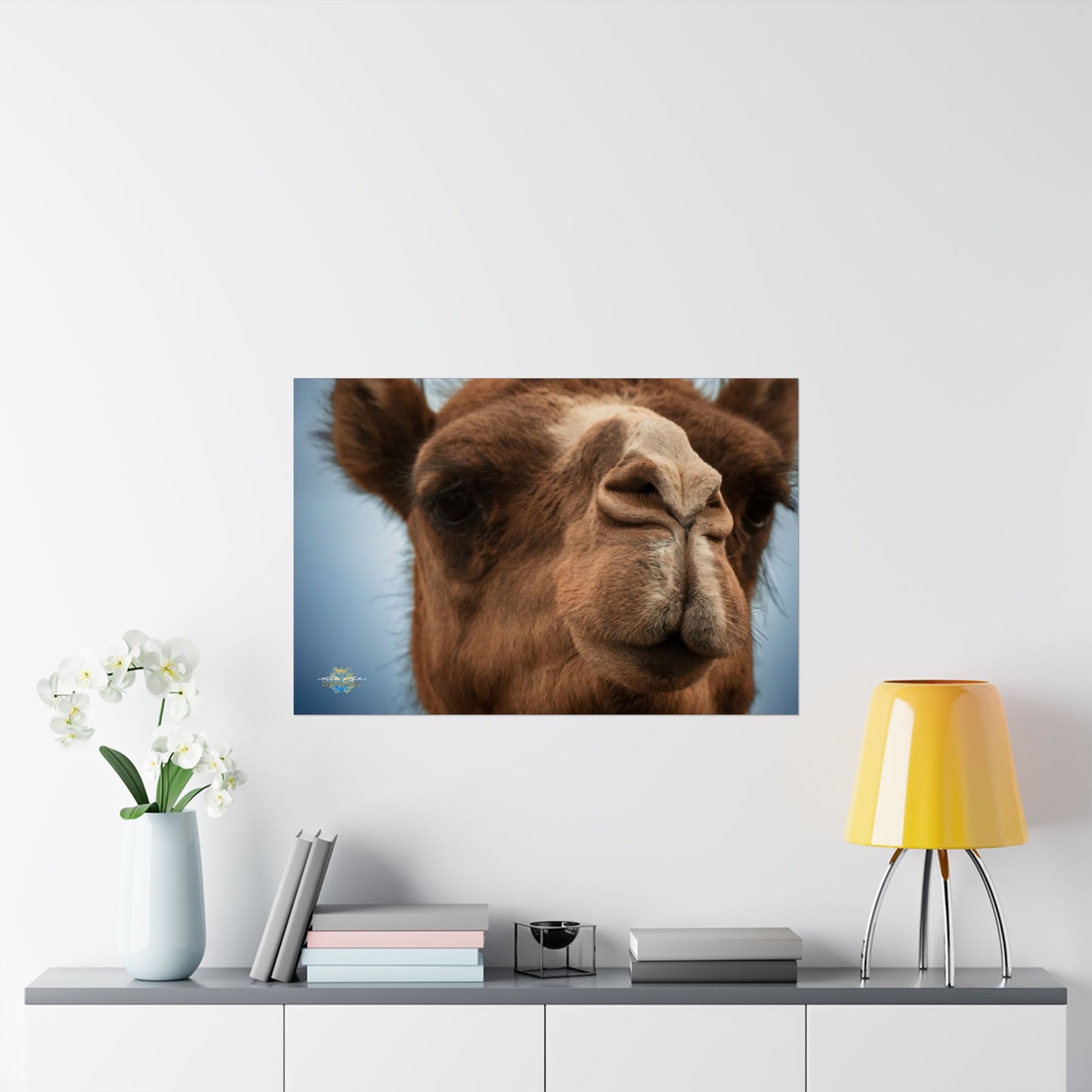 "Camel Close-Up" Photo Poster
