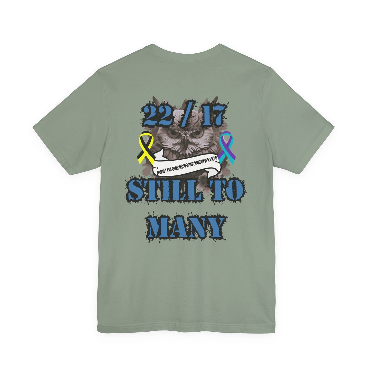 Veteran Suicide/TBI/PTSD Awareness Graphic Tee
