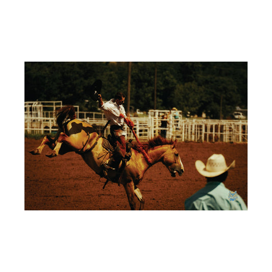 "Rodeo Bronc Rider" Photo Poster