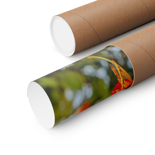 "Floral Fanfare" Photo Poster