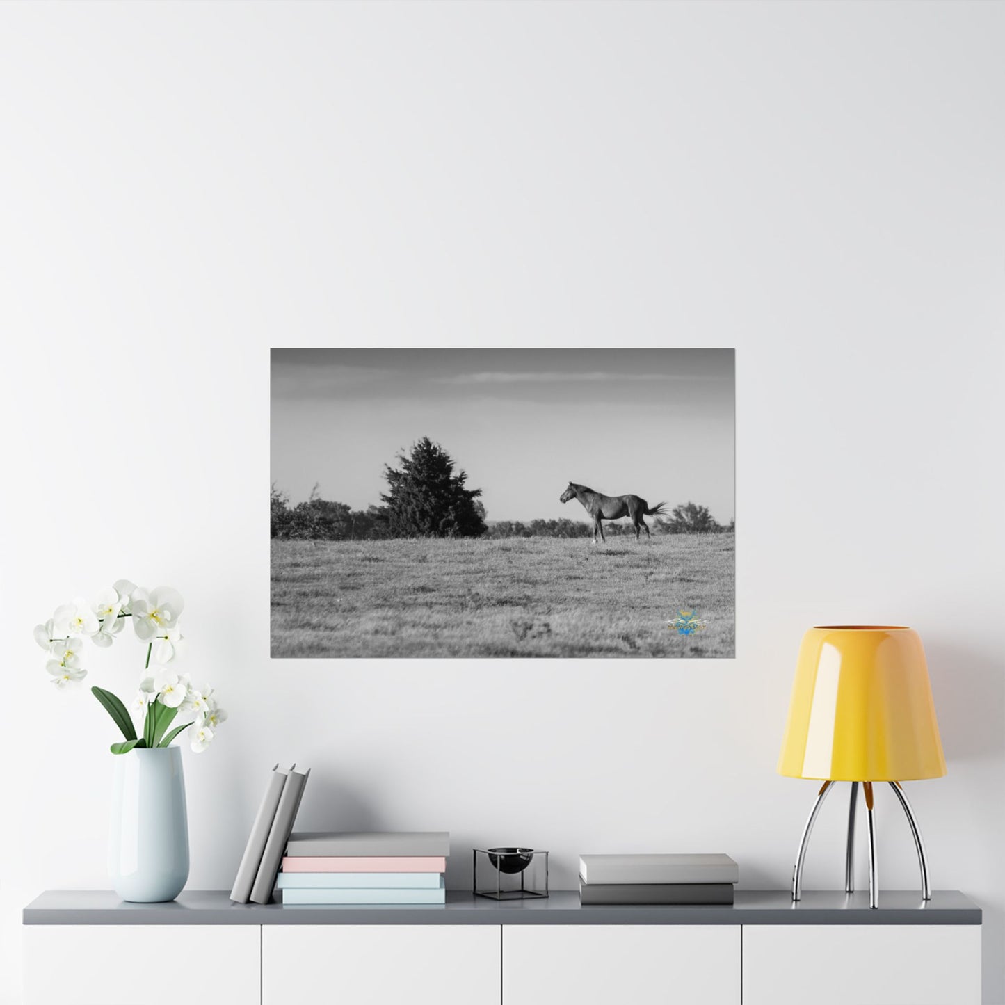 "Solitude on the Plains" Black & White Photo Poster