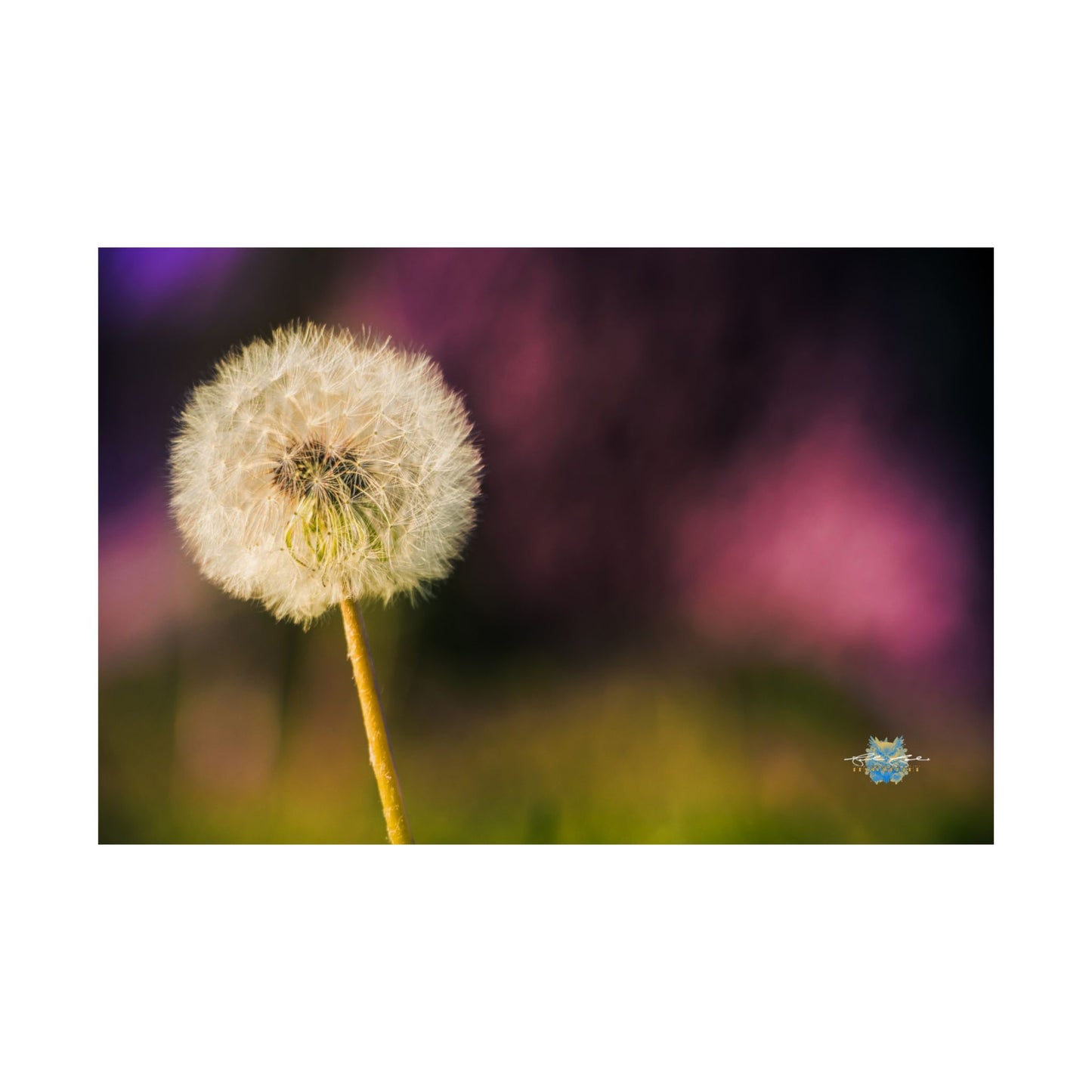 "Wishful Glow" Photo Poster