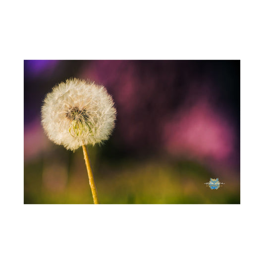 "Wishful Glow" Photo Poster