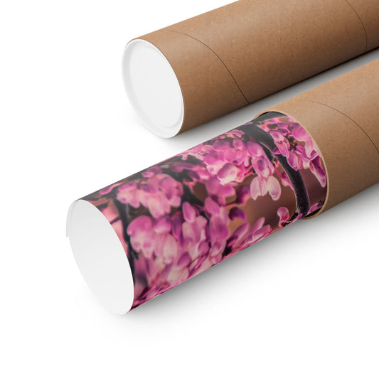 "Blush in Bloom" Redbud Photo Poster