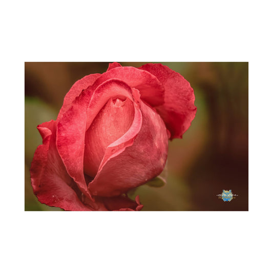 "Crimson Whisper" – Rose Fine Photo Poster