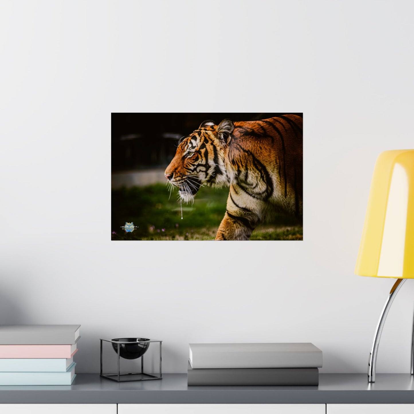 "Focused Grace" Bengal Tiger Photo Poster