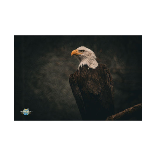 “Silent Sovereign” Photo Poster