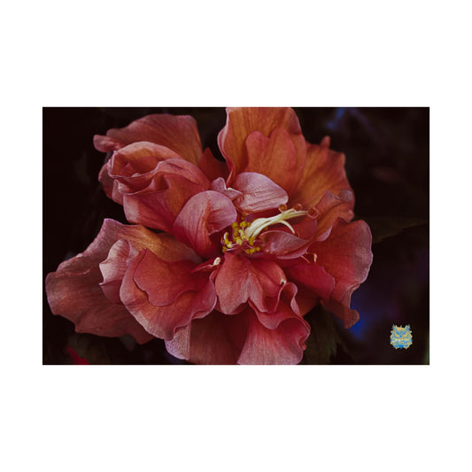 "Crimson Bloom" Photo Poster