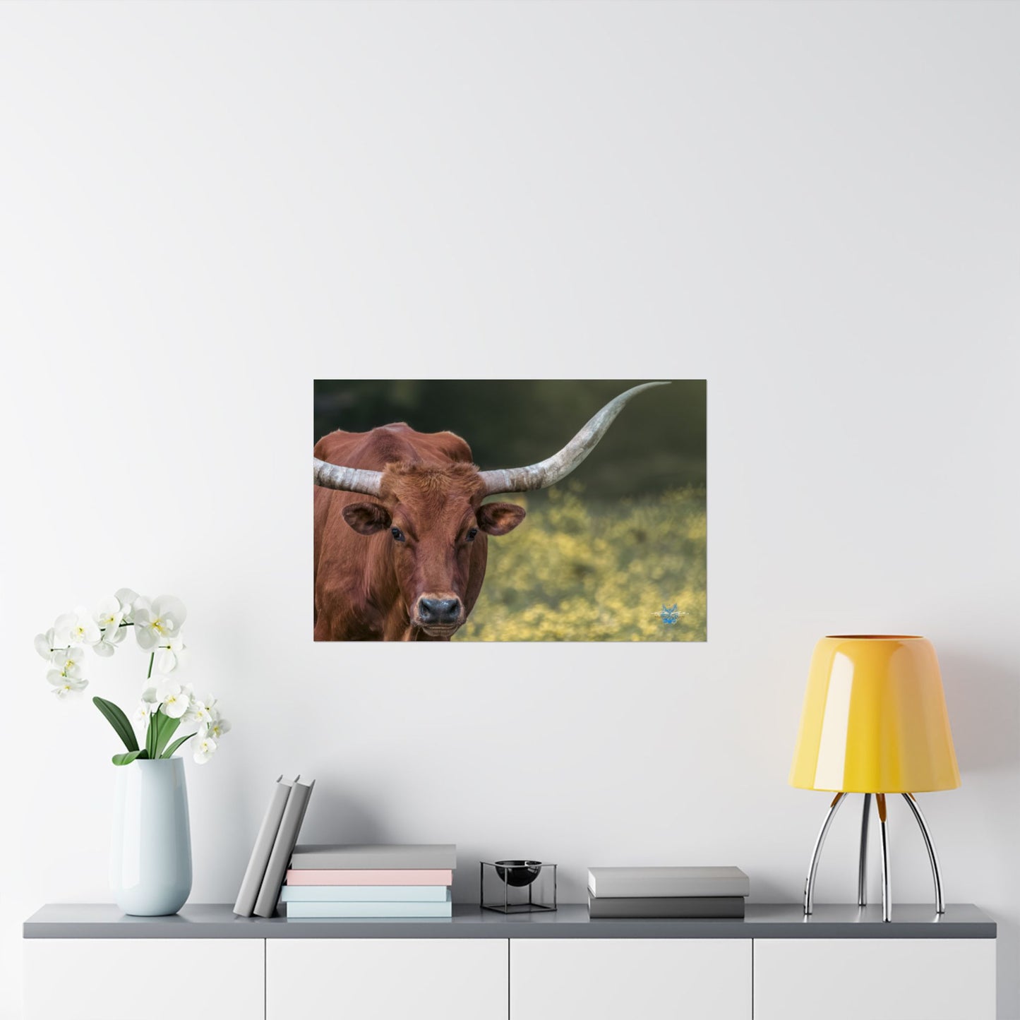 “Oklahoma Stare” Photo Poster