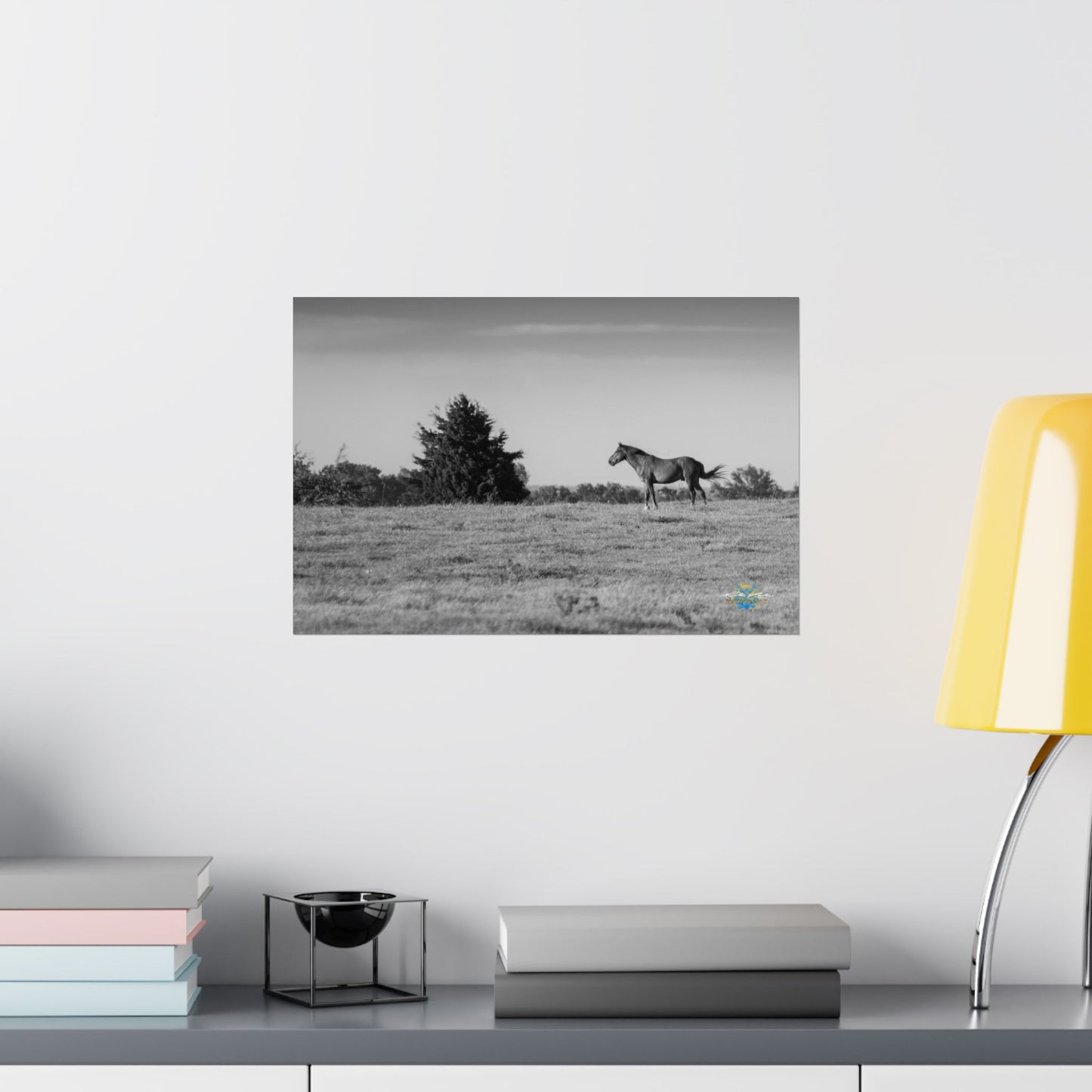 "Solitude on the Plains" Black & White Photo Poster