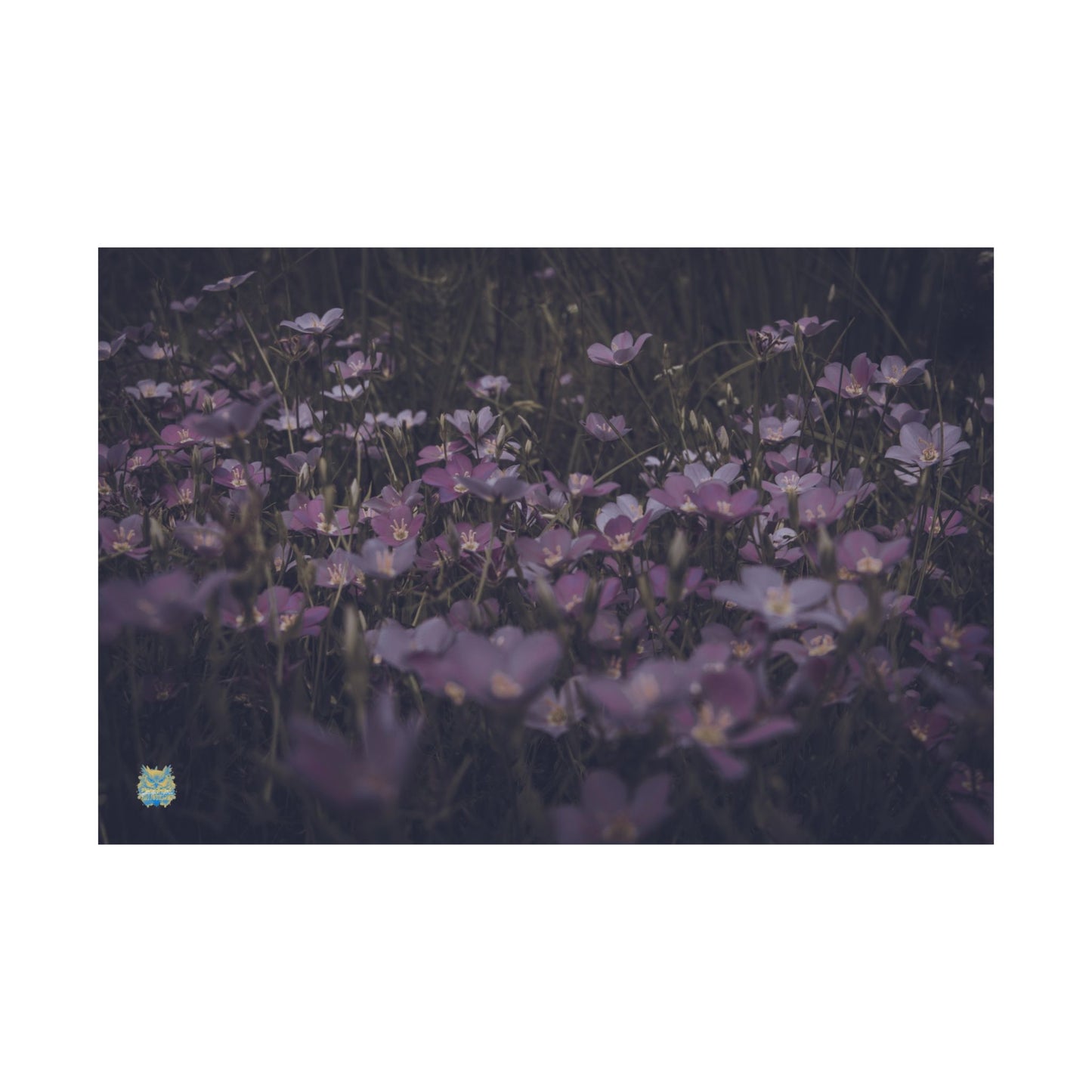 "Lavender Dreamscape" Photo Poster