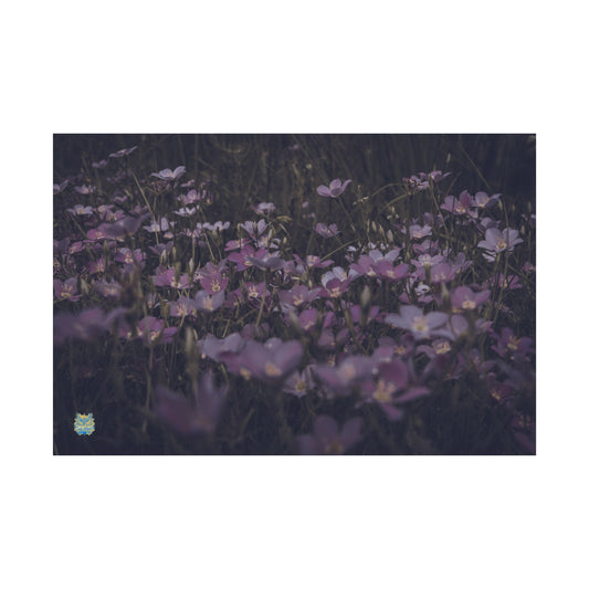 "Lavender Dreamscape" Photo Poster