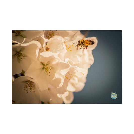 "Flight to Bloom" Photo Poster