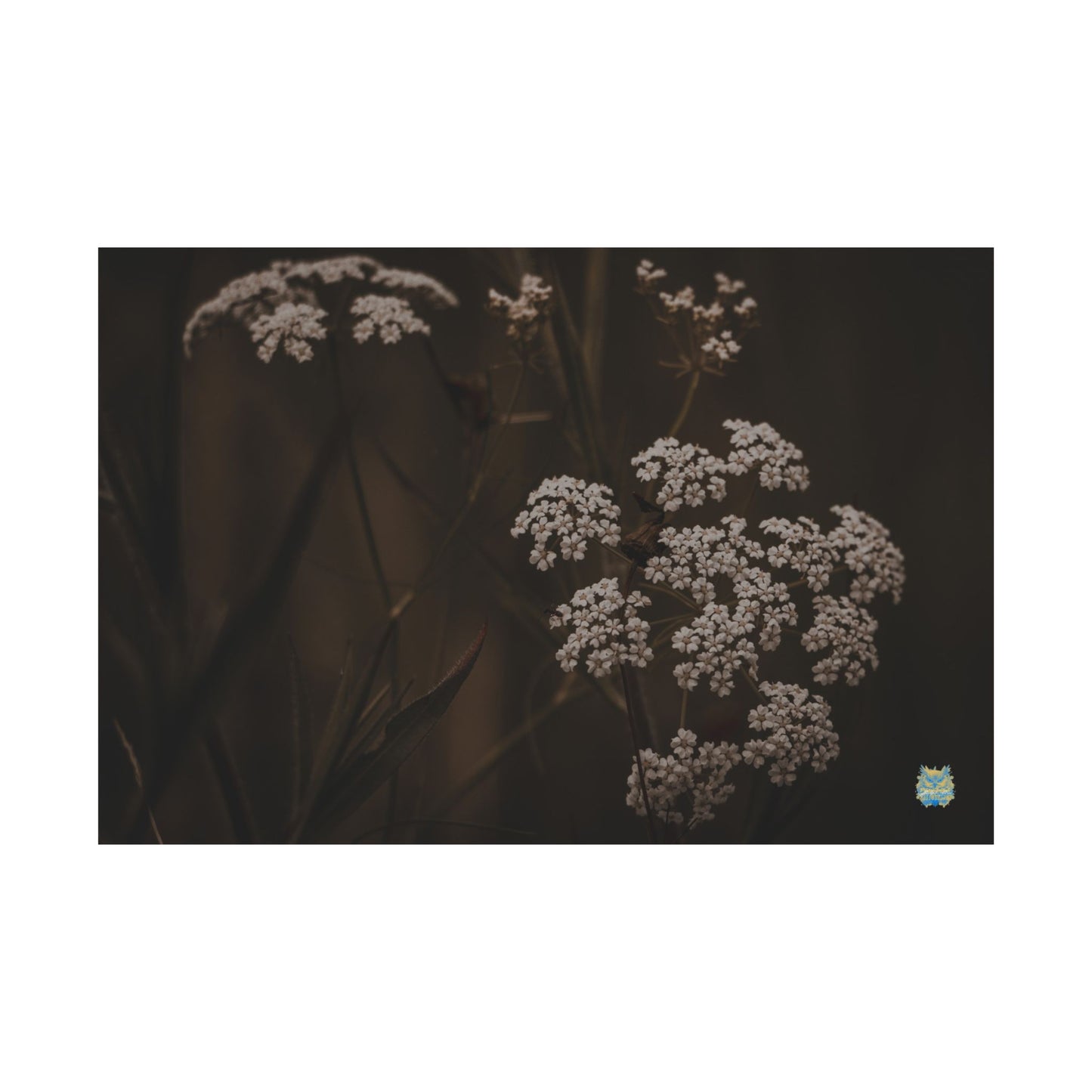 "Quiet Bloom" Photo Poster