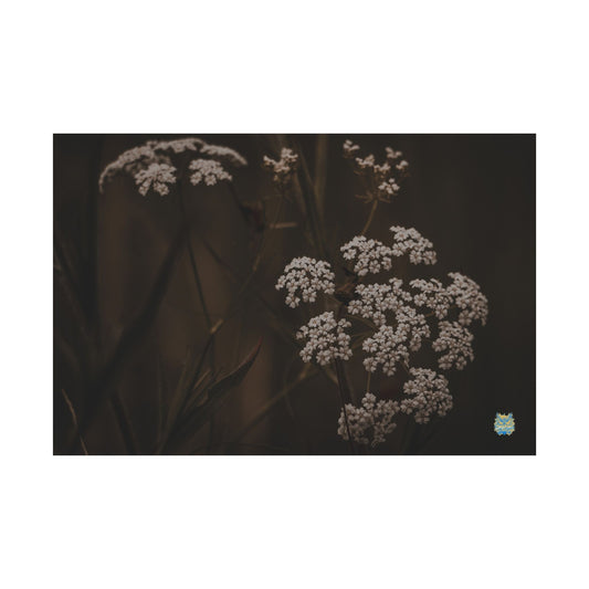 "Quiet Bloom" Photo Poster