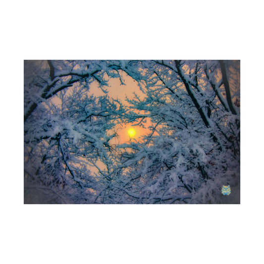 "Winter’s Glow" Photo Poster