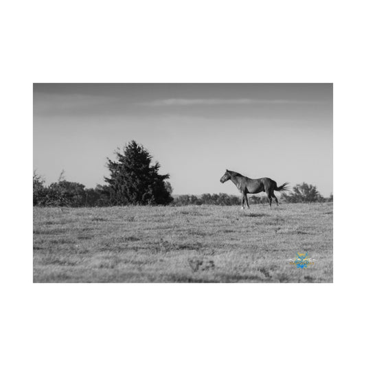 "Solitude on the Plains" Black & White Photo Poster